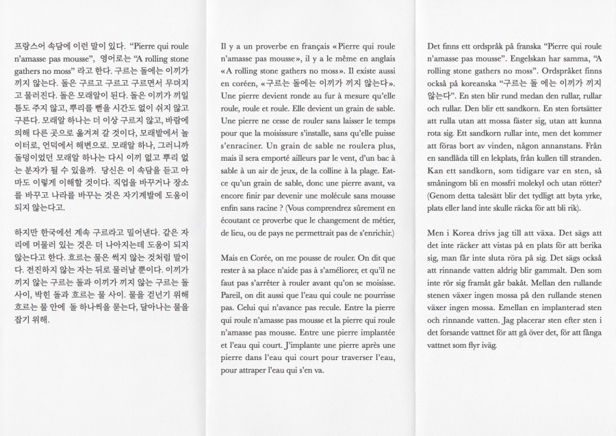 http://www.annamezey.com/files/gimgs/th-19_page 4_Ainsi-j’emprunte-les-mots-qui-n’ont-jamais-été-les-miens.jpg